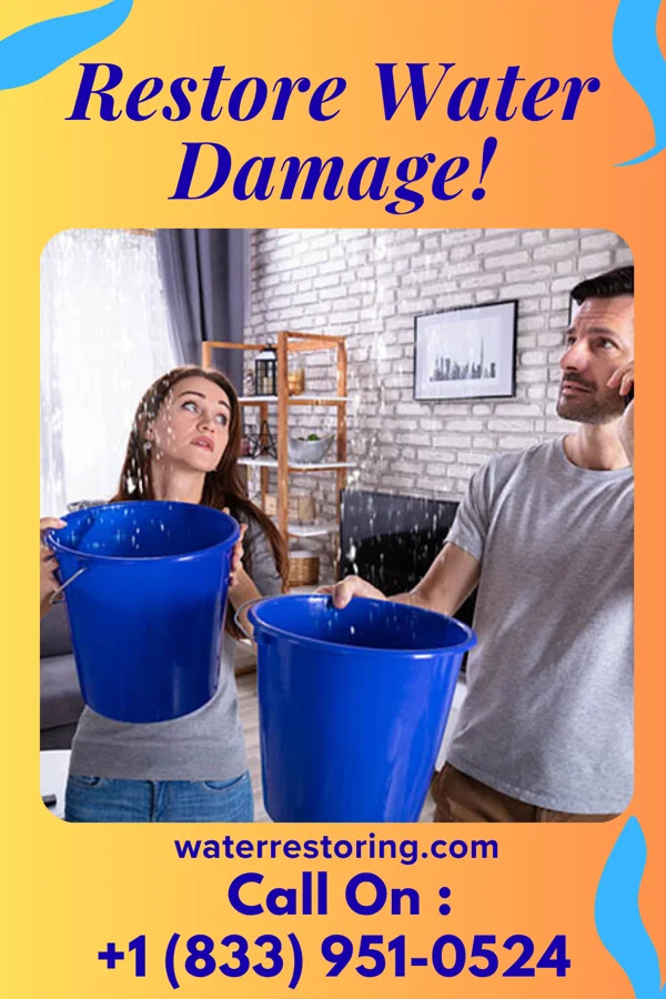 water restoration Crown Water Cleanup & Associates Rockford