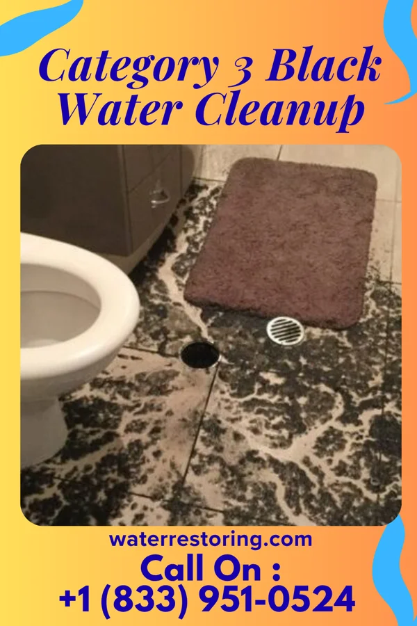Category 3 Black Water Cleanup in Rockford, OH