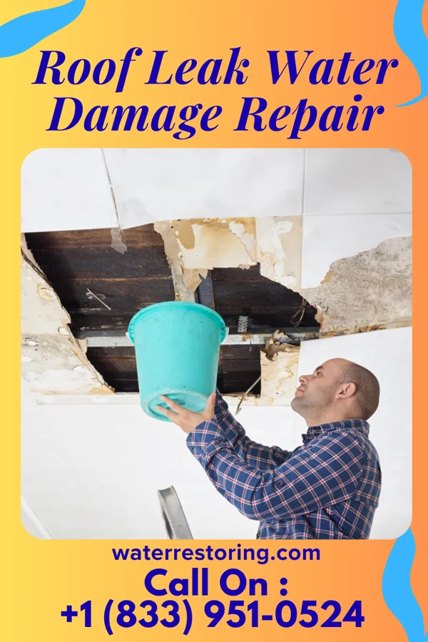 Roof Leak Water Damage Repair in Rockford, OH