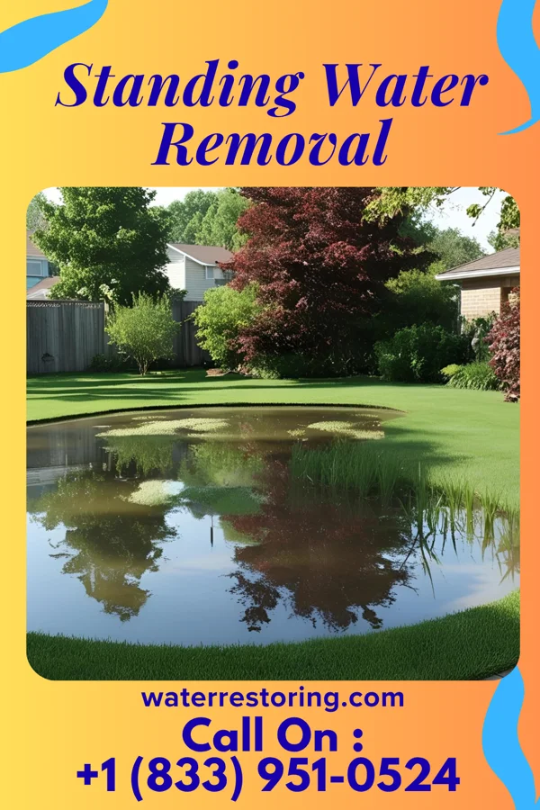 Standing Water Removal in Rockford, OH